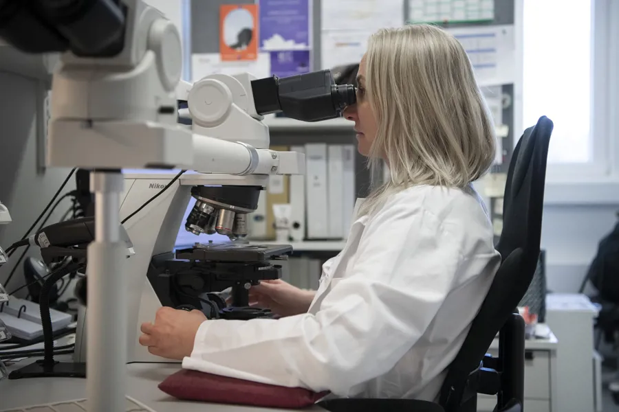 Kvinnelig ansatt ser i stort mikroskop