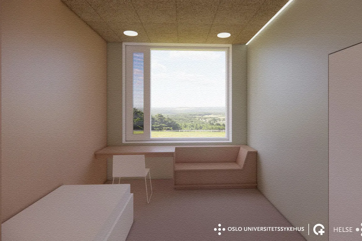 Et rom med en seng og et vindu